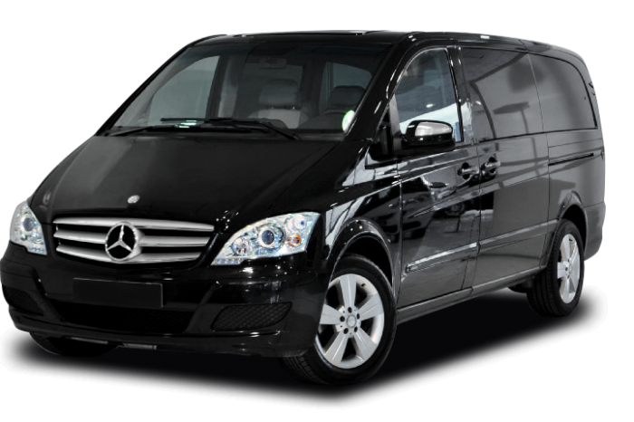 Business Van Viano